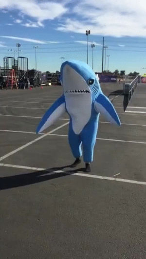 shark,left shark,costume