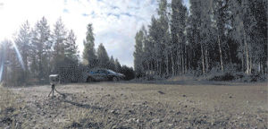 rally,car,tree,finland,yesterday
