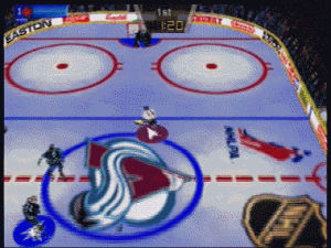 hockey,shit,rink