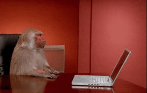 reaction,monkey,computer,frustrated,laptop,office monkey,baboon,memes,meme,email,emails,outlook,i hate everyone