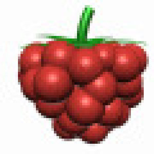 raspberry,old internet,1990s,90s,3d,90s s,windows 98