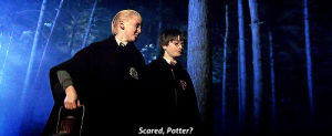 draco malfoy,harry potter,hermione granger,ron weasley,hogwarts,harry potter 1