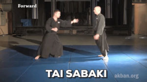 krav maga,budo,mma,martial arts,instructional,kata,ninjutsu,taijutsu,akban,traditional mma,tai sabaki