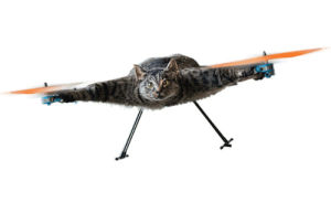 helicopter,cat,made by abvh,orvillecopter