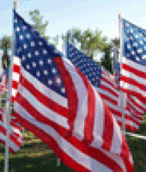 american flag,american,flag,waving