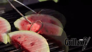bbq,fruit,watermelon,grill,melon,grilling,grilled,grillax
