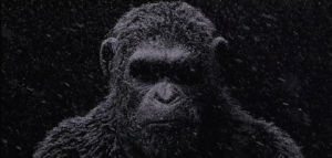 cinemagraph,war,planet,apes
