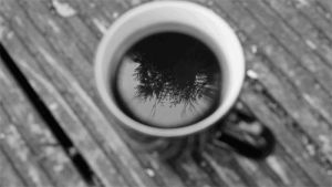 black and white,fall,coffee,forest,tea,autumn,i love coffe