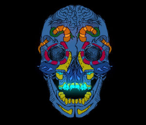 psychedelic,skull