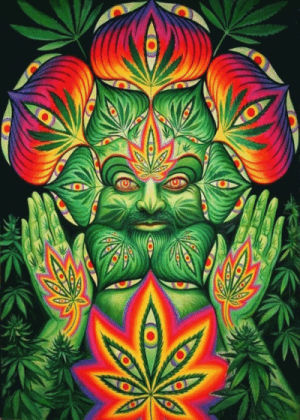 weed,lsd,psychedelic,dmt,trippy,drug,acid