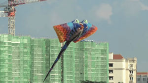 kite,kites,mothra,cool kites