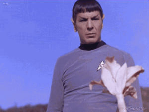 this side of paradise,star trek,alien,spock,plant,confetti,leonard nimoy,mr spock,spores,what the shit,dosed,did somebody say spores