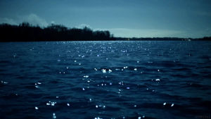 cinemagraph,night,nature,reflection,moonlight,lake,living stills