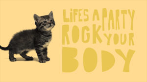 happy birthday cat,cat,kitten,kittens,peach,cat video,lifes a party rock your body,greenish yellow