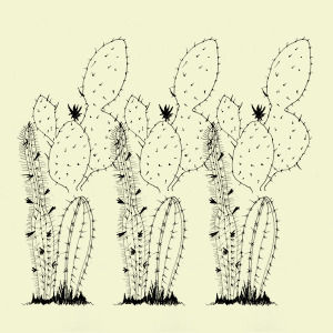 cactus,art,illustration,artists on tumblr,drawing,green,gradient,cacti