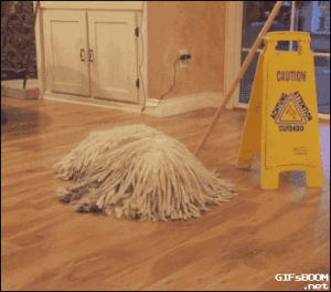 dog,mop