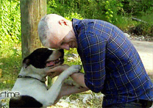 anderson cooper,animals,dogs,happy new year,ugh you are precious