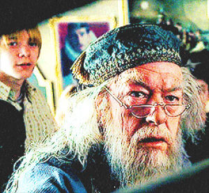 harry potter,dumbledore,poa
