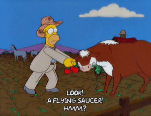tomacco,cow,homer simpson,season 11,episode 5,11x05,flying saucer