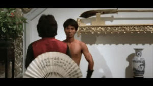 shaw brothers,martial arts,lu feng,kung fu,the magnificent ruffians