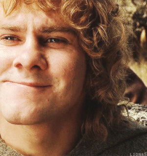 sam,the lord of the rings,merry,return of the king,frodo,pippin