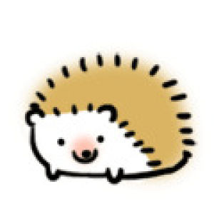 hedgehog,cuteness,animal,daily dose