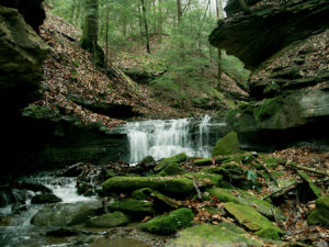 stream,waterfall animation,watson,creek,hwatson,hw,mossy,mossy rocks