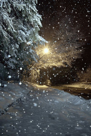 snow,winter,beautiful,good,amazing,photo