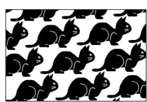 optical illusion,dove,black cat,cat,white dove