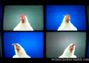 chicken,techno