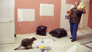 parks and recreation,parks and rec,raccoon,the right idea