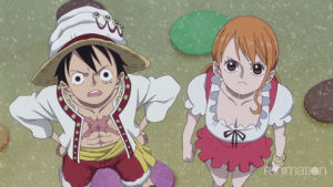 nami,luffy,shock,what,confused