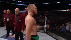 conor mcgregor,walk in,entrance,walk,fight,the notorious,dance,dancing,swag,feeling myself,ufc 202,warm up,feeling himself