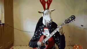 christmas,goat