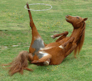 horse,hula hoop,trick