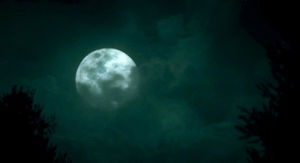 wind,moonlight,moon,clouds,full moon,night