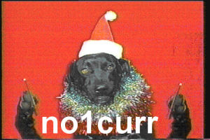 no one cares,reaction,dog,christmas,idc,who cares,no1curr