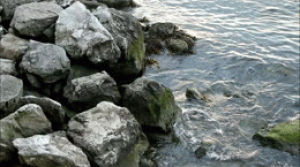 water,summer,photography,bay,rocks