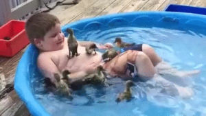 pool,ducks,kid