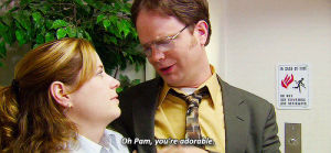 the office,pam beesly,dwight schrute,the injury,shownspencer