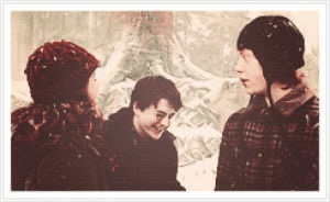 harry potter,hermione granger,rony weasley