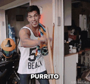 purrito,burrito,cat,pun,cat pun