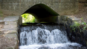 waterfall,water,perfect loop,cinemagraphs,nature,cinemagraph,bridge,living stills