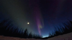 aurora borealis,lights,aurora,northern,borealis
