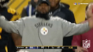 mike tomlin,what the fuck,football,nfl,wtf,steelers,pittsburgh steelers,what the hell,tomlin,cmon man,what the hell is that