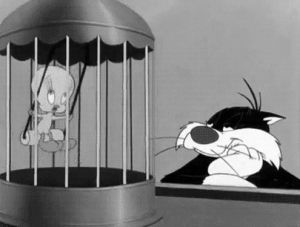 vintage,looney tunes,sylvester and tweety,sylvester the cat,bw,black and white,cartoon,black white