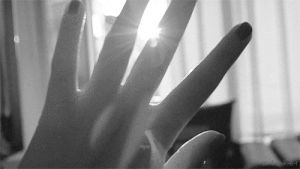 sunlight,black and white,hand