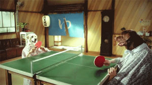 dog human,ping pong,dog,pingpong
