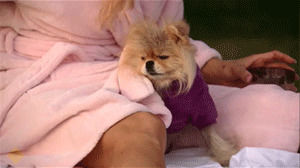the real housewives of beverly hills,tv show,bravotv,giggy