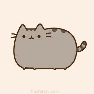 pusheen,cat,adorable,deal with it